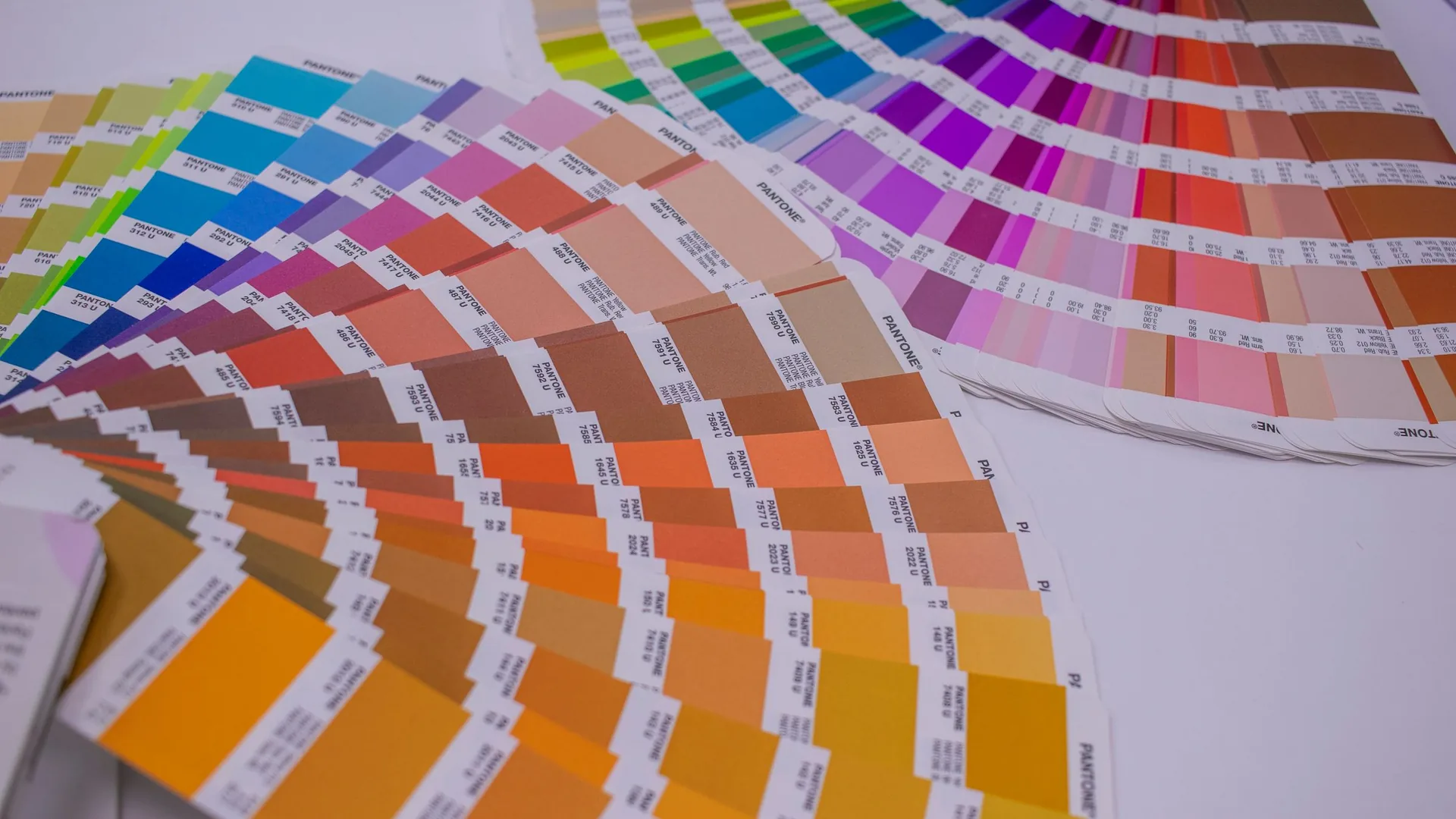 Graphic Designing services by TheDataVue Technologies in Una
