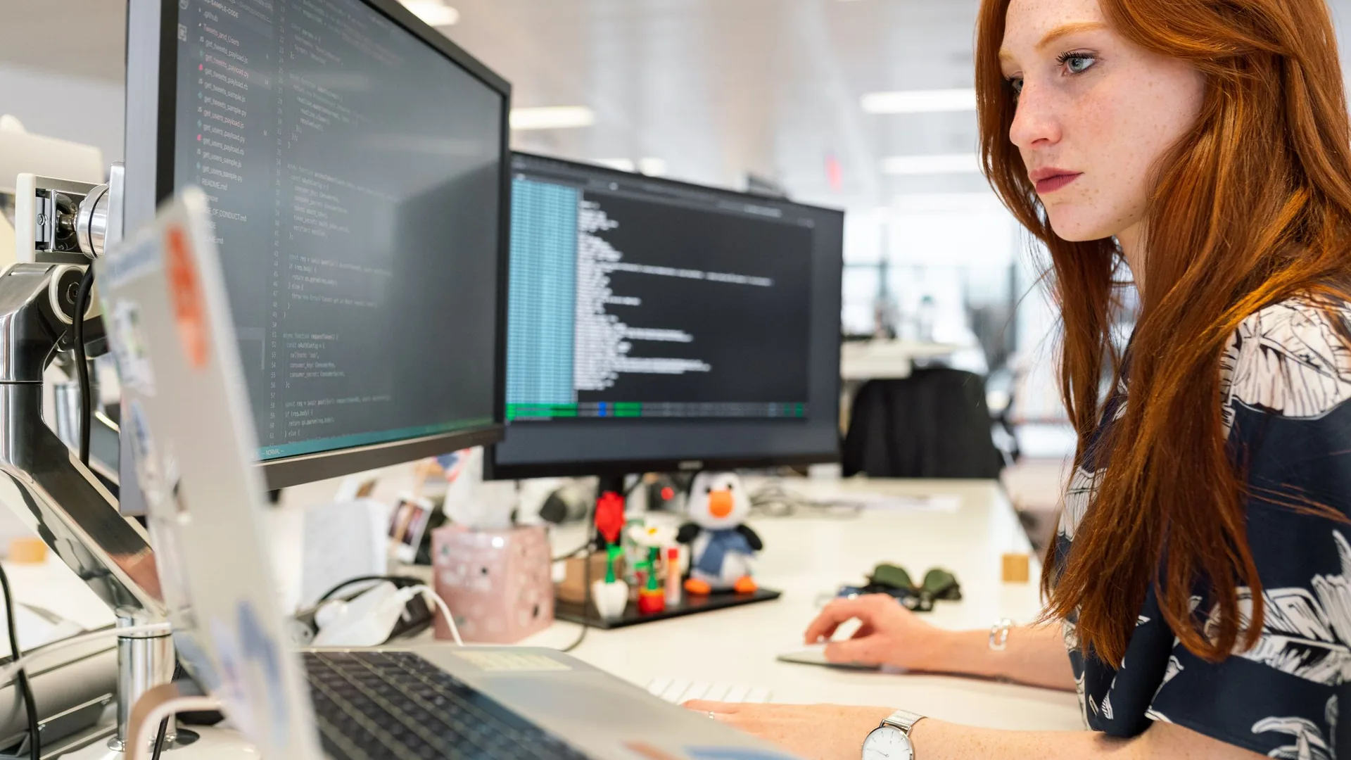 Web Development services by TheDataVue Technologies in Una